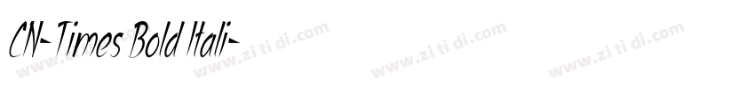 CN-Times Bold Itali字体转换